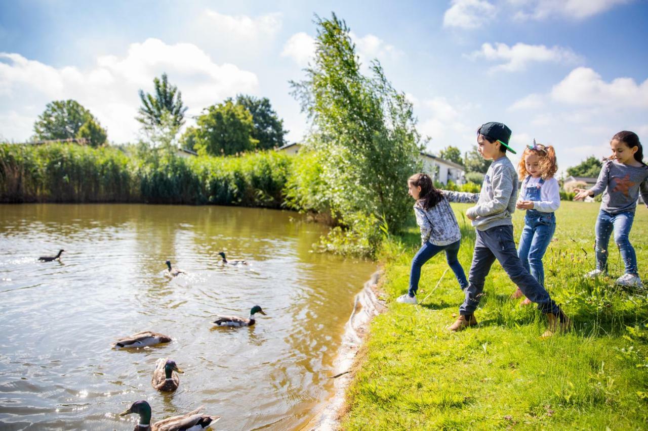 Topparken - Recreatiepark Het Esmeer Aalst Exterior photo